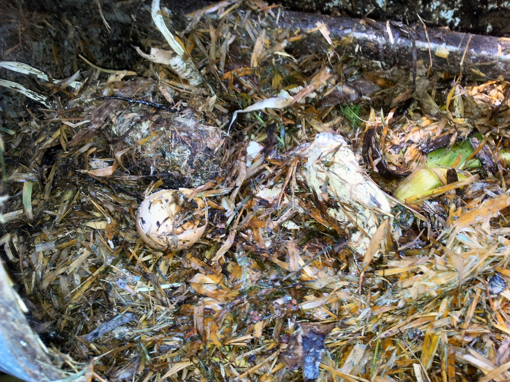 Decomposing compost