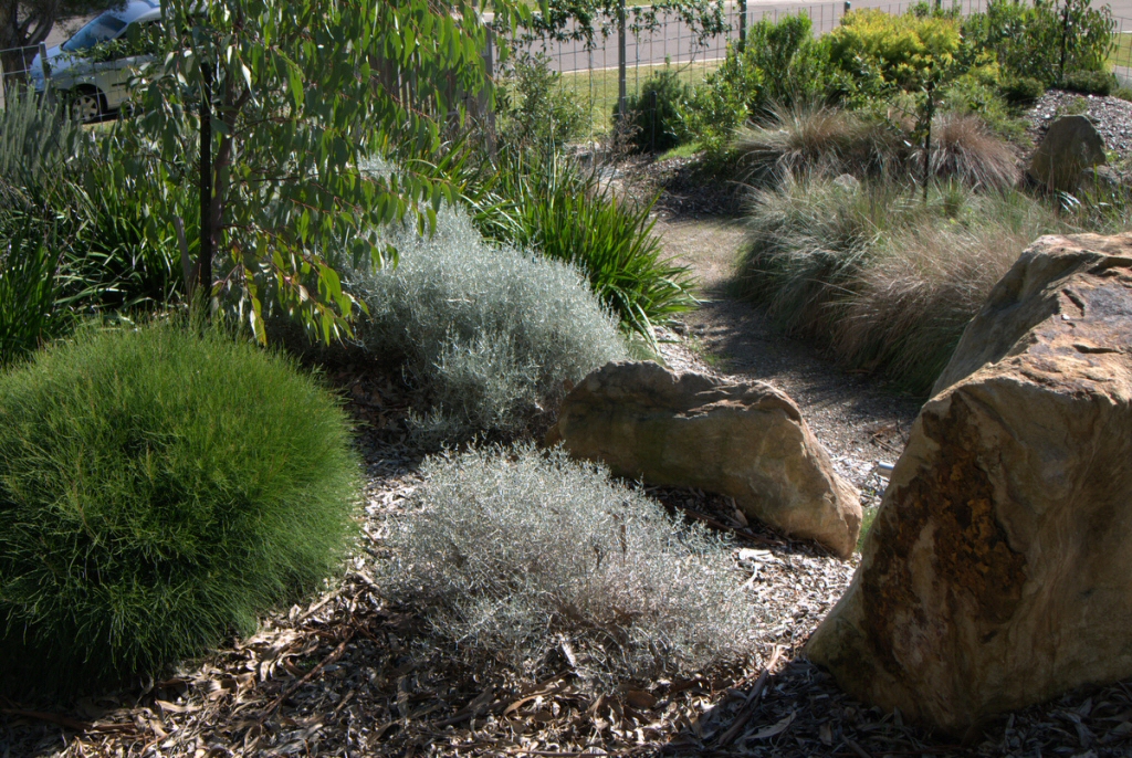 Landscape Designing With Australian Plants