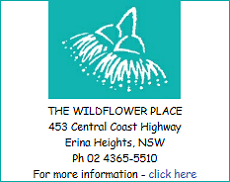 Newsletter #50 – Deep (Long Stem) Planting – August 2019