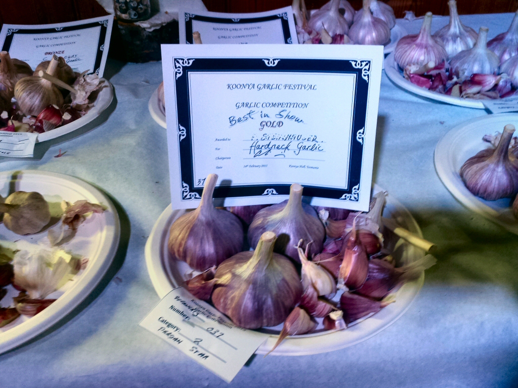 Garlic (Allium sativum)