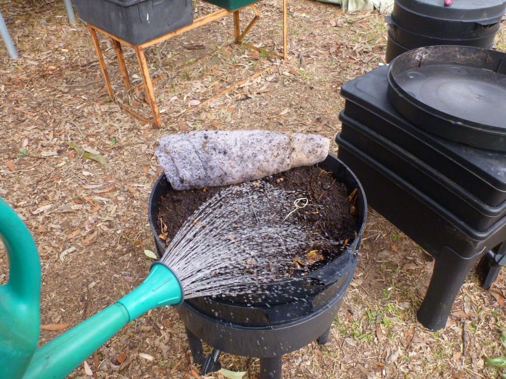 Using earthworms in the garden