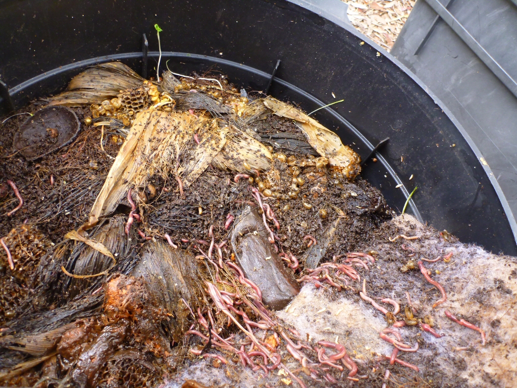 Getting started with worm farms