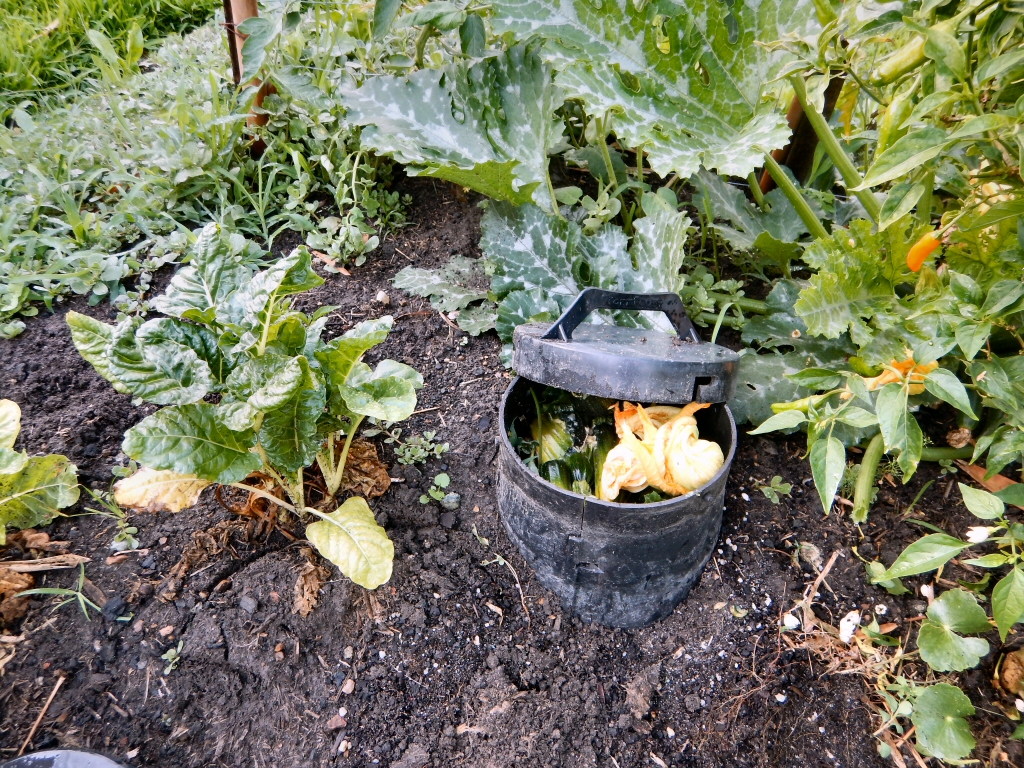 How To Make An In Ground Worm Farm