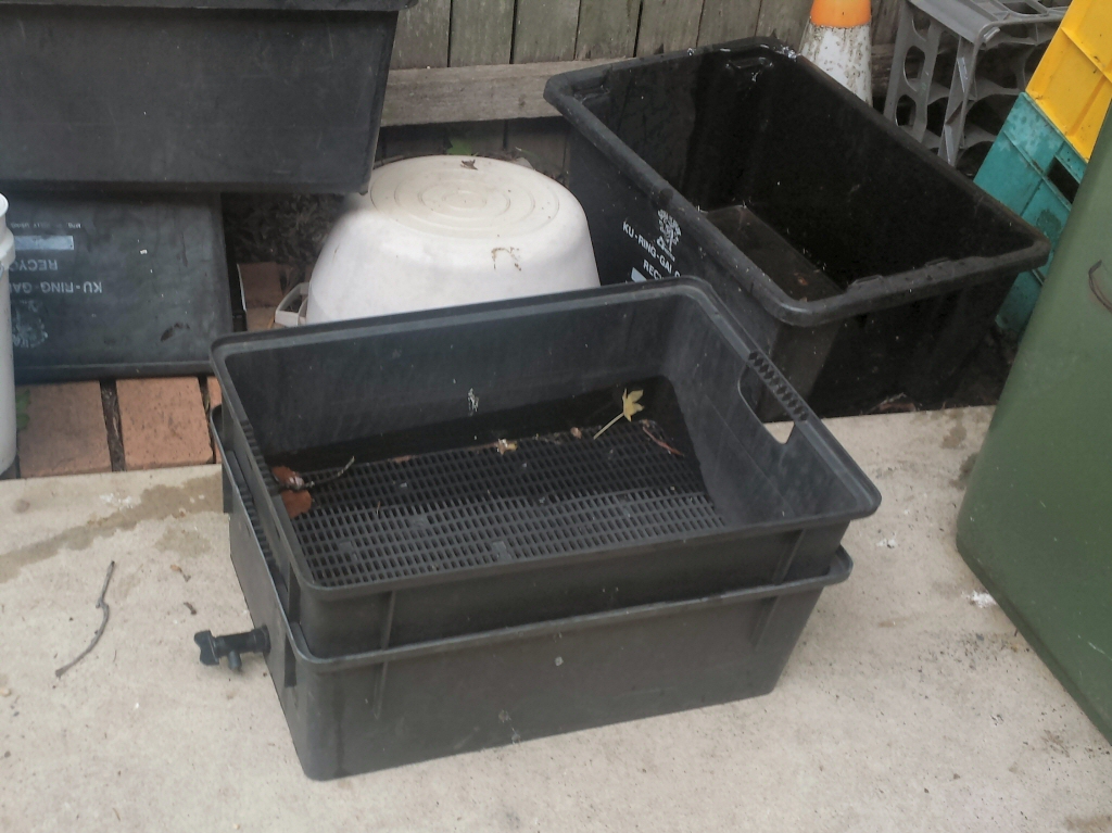 Worm farming for beginners