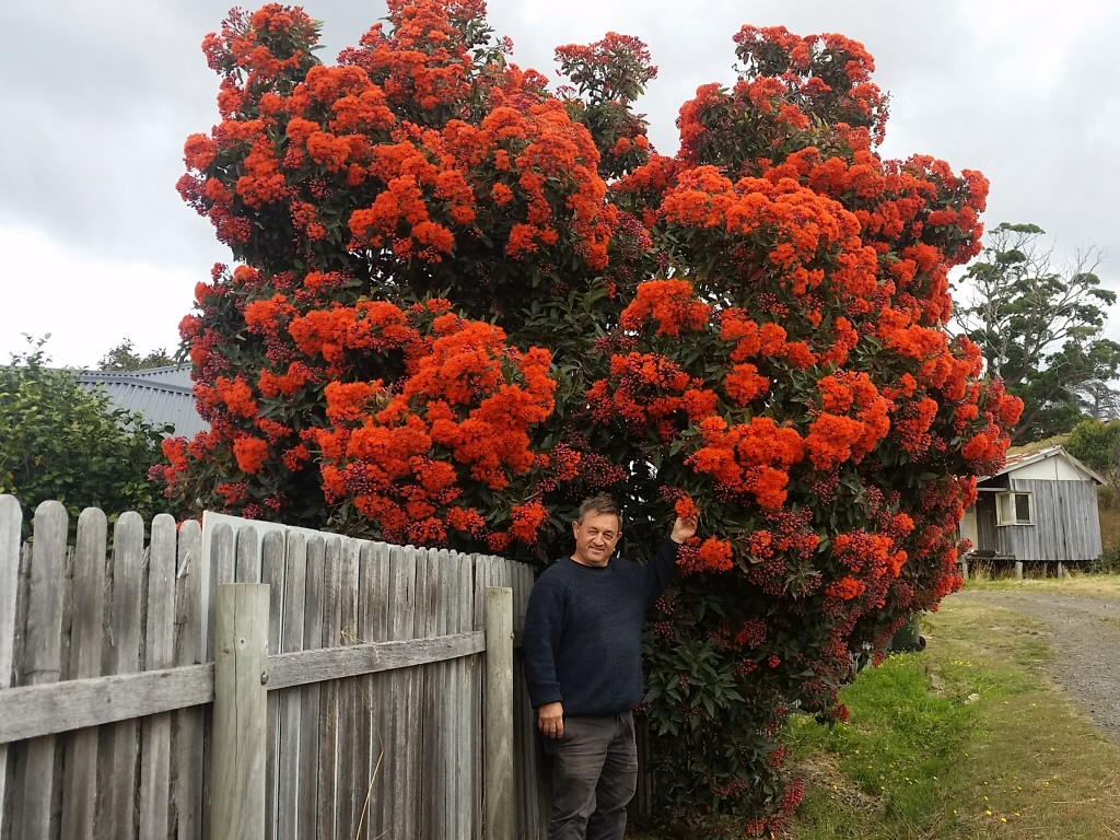 Newsletter #33 – February-March 2017 – Tasmania, Autumn Planting