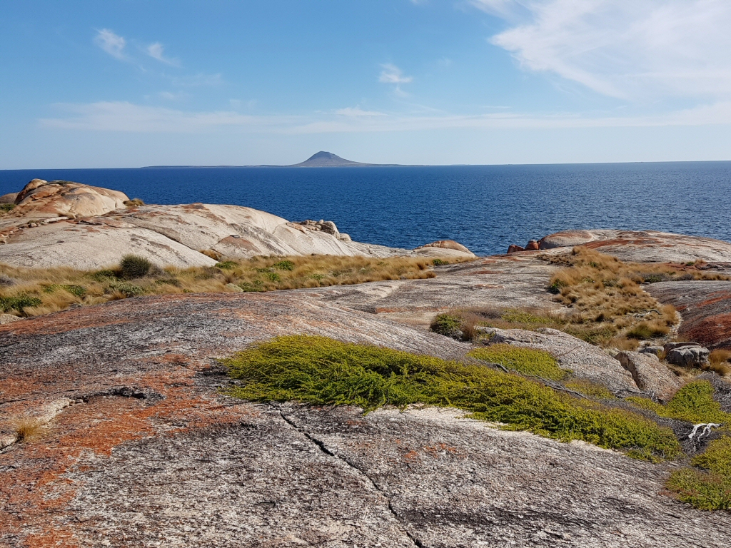 Newsletter #41 – March-April 2018 – My New Project