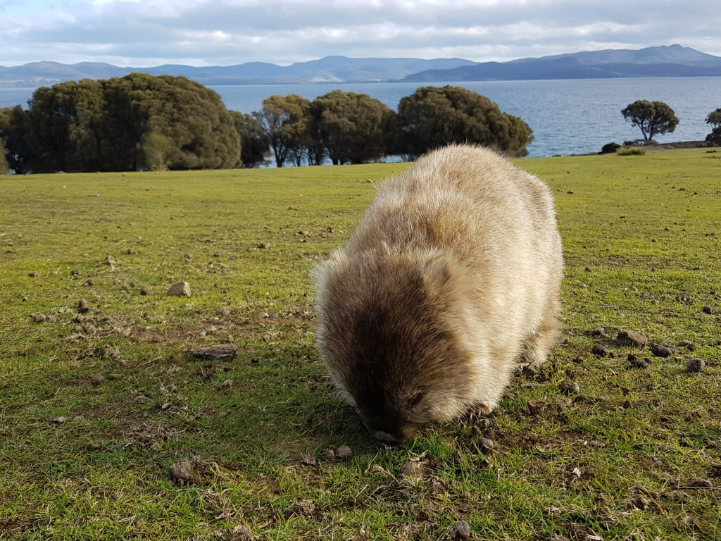 Newsletter #43 – July 2018 – Frost, On The Road- Again