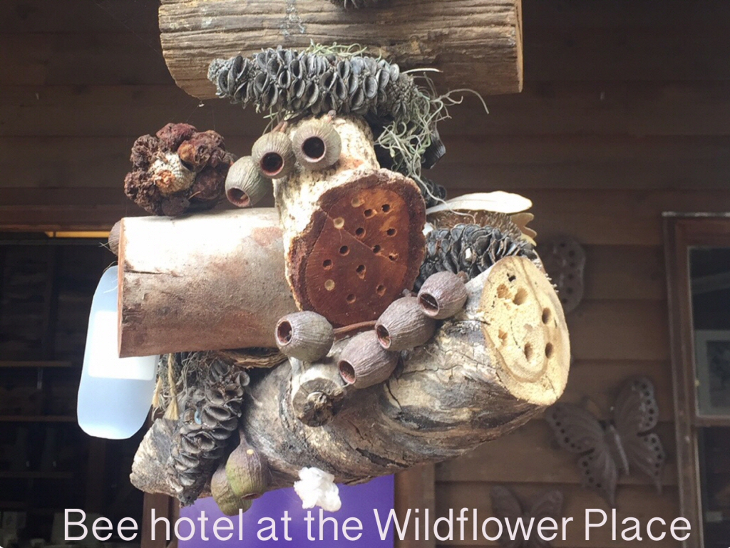 Newsletter #45 – February 2019- Creating habitat gardens