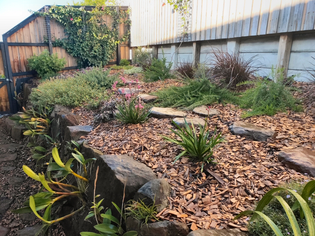 Newsletter #47 – April 2019 – The Benefits of Tube Stock Plants