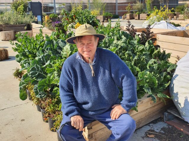Slimmer trimmer Angus Stewart at Macquarie Point Edible Precinct
