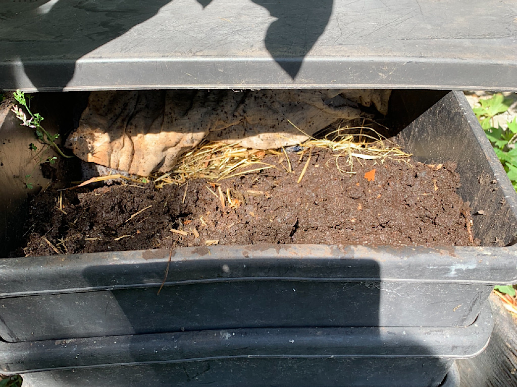 Harvesting Worm Castings