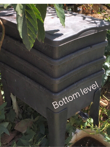 Tumbleweed worm farm levels