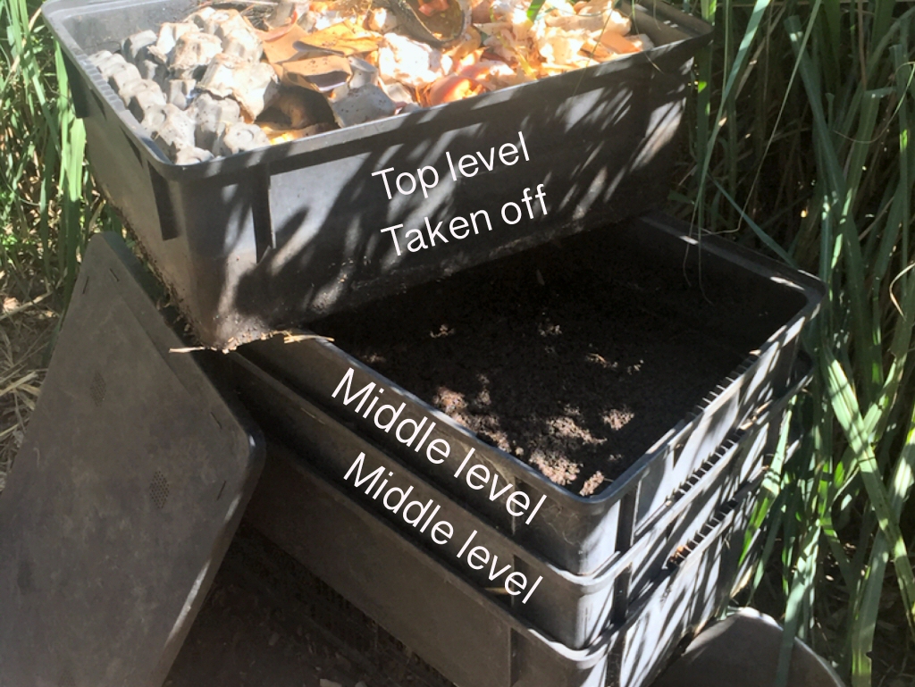 Managing Multi Level Worm Farms