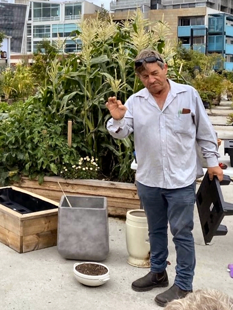 WaterUps Wicking Bed System