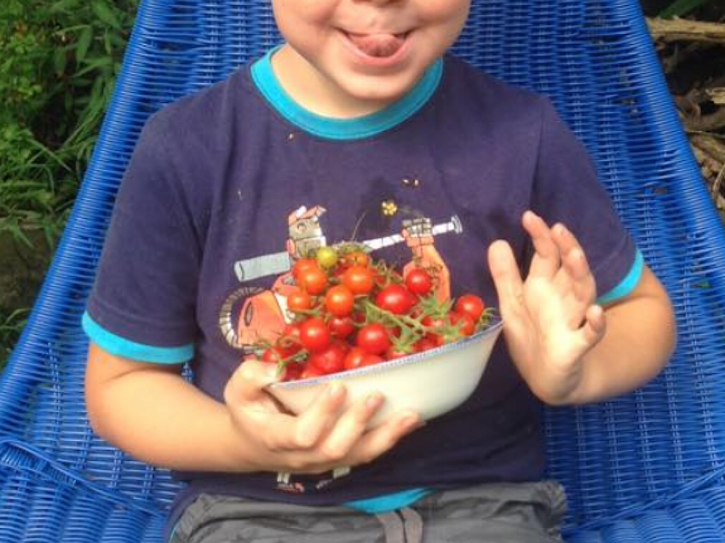 Gardening With Children – An Educational Opportunity