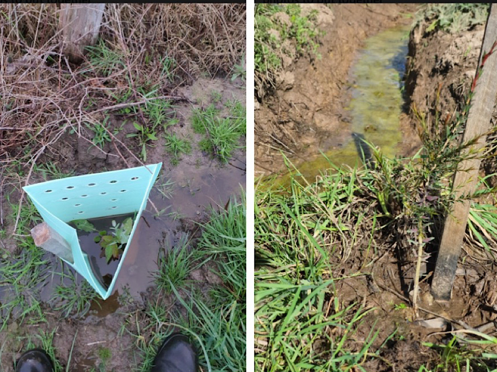 Newsletter #64 – October 2020 – How To Deal With Too Much Water!