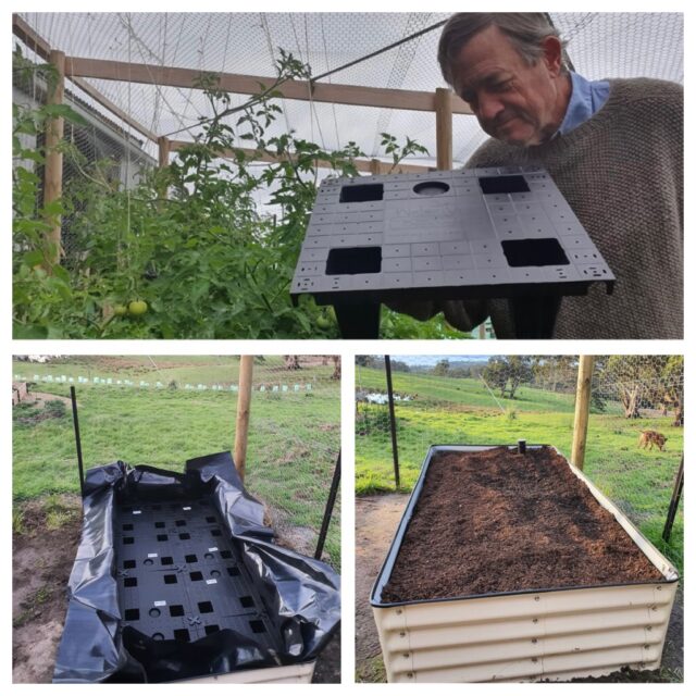 WaterUps cell and wicking bed