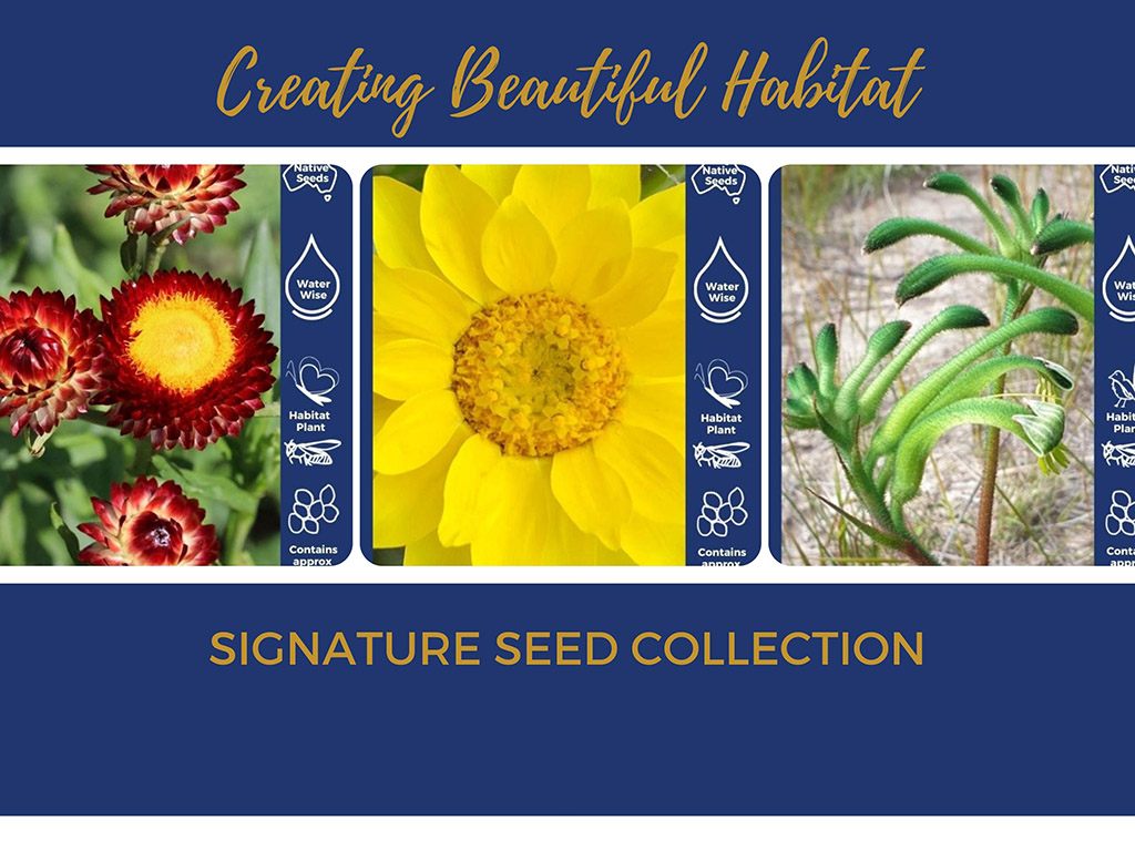 Newsletter #69 – October/November 2022 – Growing Aussie Plants From Seed